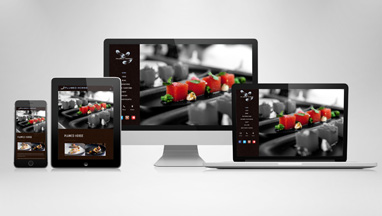 Plumed_Horse_Responsive_Website_sm